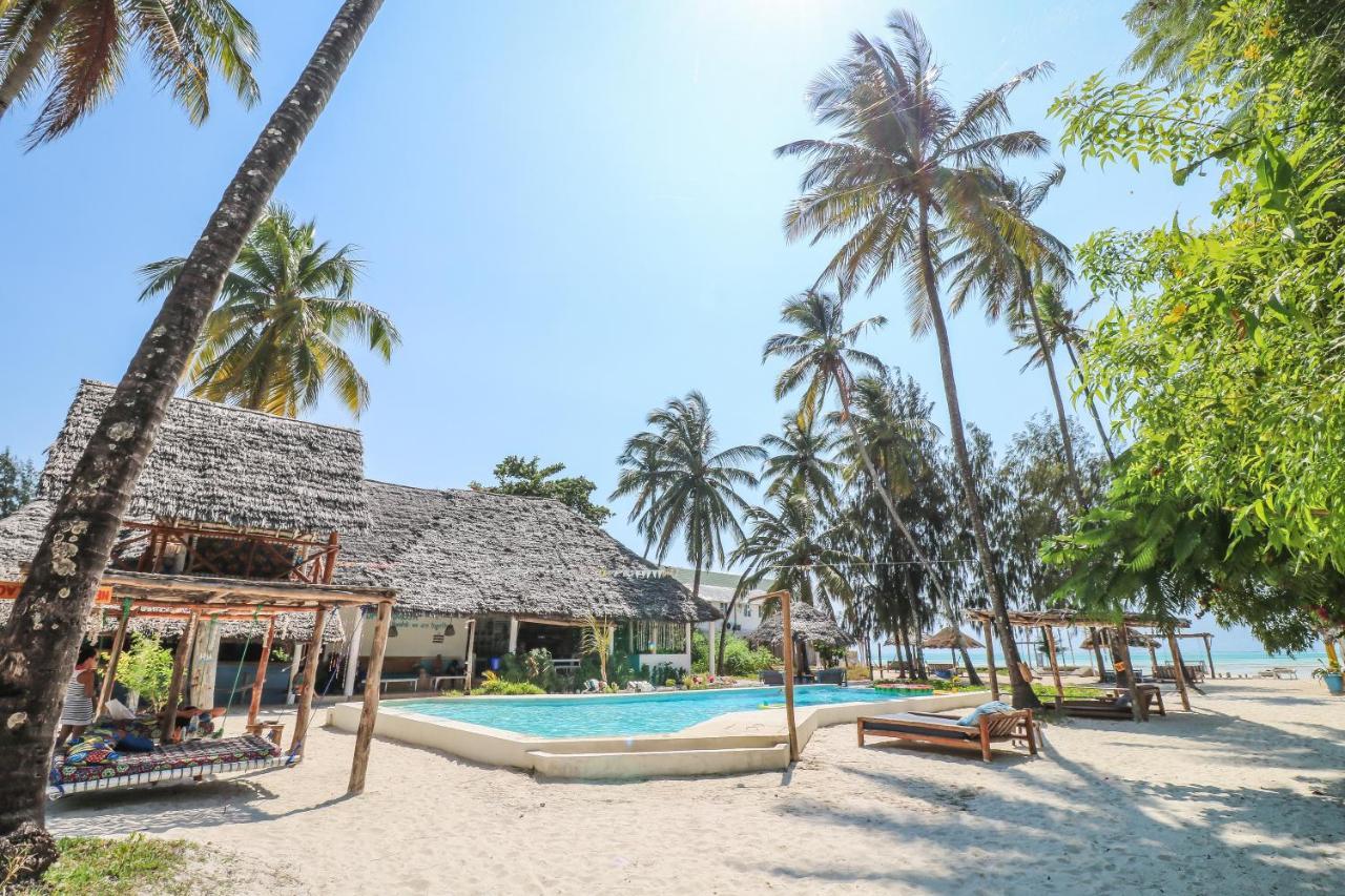 New Teddy'S On The Beach Jambiani  Ngoại thất bức ảnh